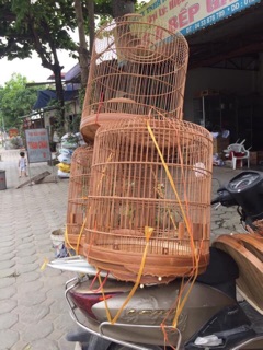 Khung lồng choè than tự ráp