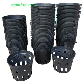 Chậu trồng lan phi 14( combo 10 chậu)