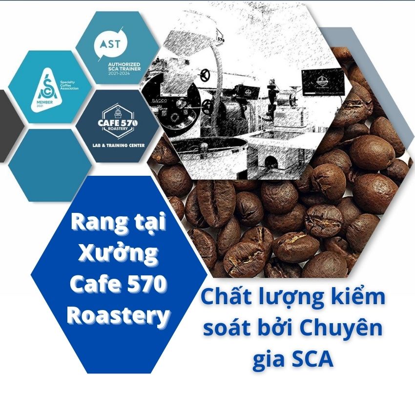 [TẶNG PHIN NHÔM] 500GR Cafe Pha Phin Robusta Honey Chất Lượng Cao 100% Rang Mộc - 551 Coffee | BigBuy360 - bigbuy360.vn