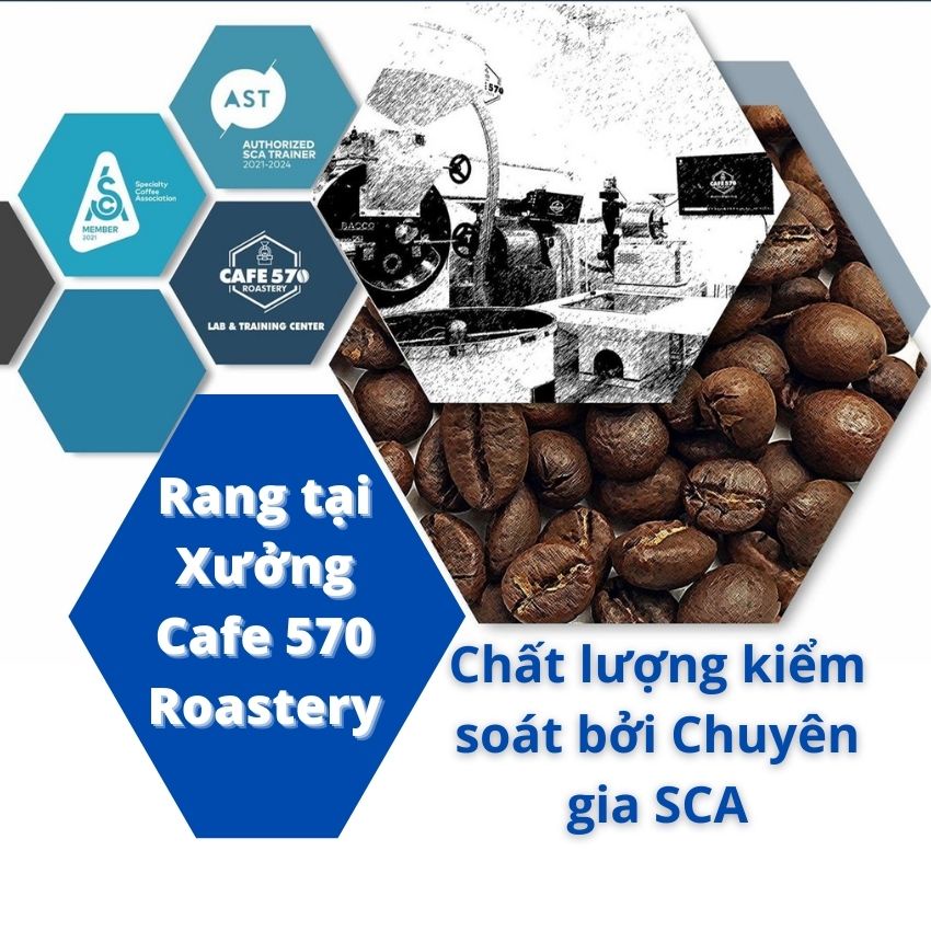 [TẶNG PHIN NHÔM] 500GR Cafe Pha Phin Robusta Honey Chất Lượng Cao 100% Rang Mộc - 551 Coffee