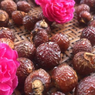 Quả bồ hòn/ bột bồ hòn