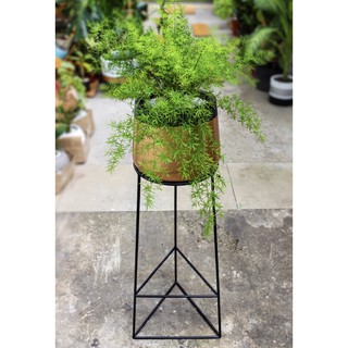 Chậu xi măng fiber bo đáy khấc gold miệng đen