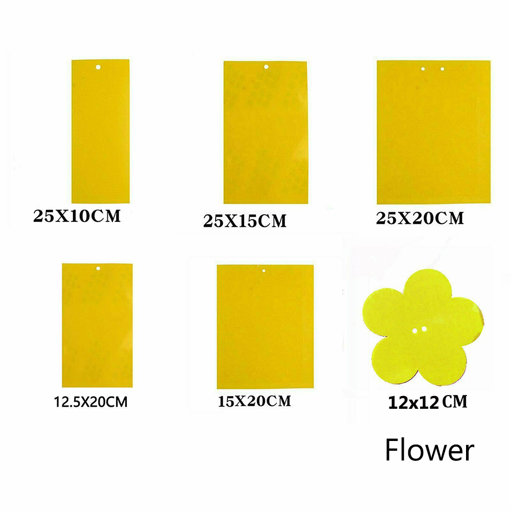 ☆Yarmai Yaa Yacao YOLA YOLA☆ Set 10 / 20 Cuộn Keo Dính Côn Trùng Tiện Dụng