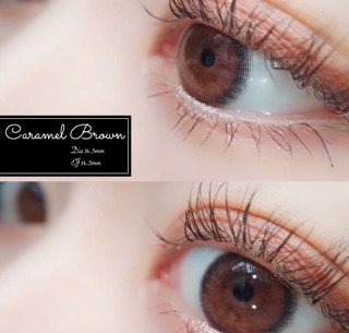 [Kính Áp Tròng] Caramel Brown