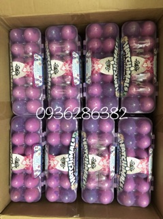 Khay trứng Hatchimal One Dozen