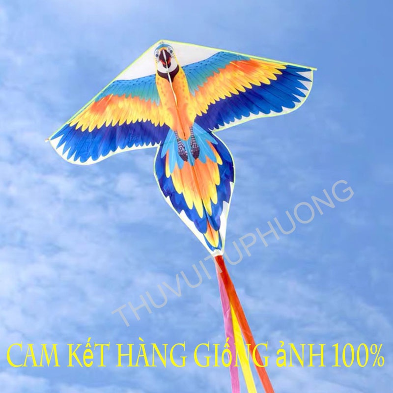 DIỀU VẸT-DIỀU HÌNH CON VẸT