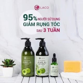 Bộ 3 dầu gội Amla kích thích mọc tóc