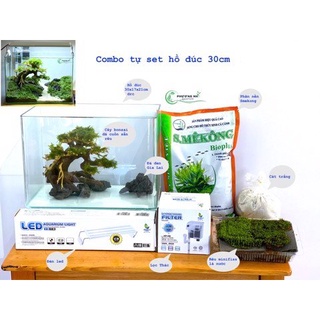 Cây bonsai thuỷ sinh ( cây mini cao 12cm, rộng tán 15cm)