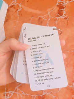 Sổ tay FA, full A+ giải phẫu