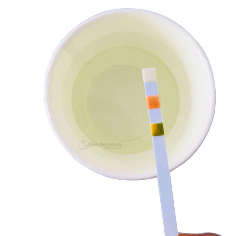 Test Strips 3 in 1 | Que Tets Nước 3 trong 1 | Kiểm tra Clo - pH - Độ kiềm (kH) cho Bể cá cảnh, thuỷ sinh