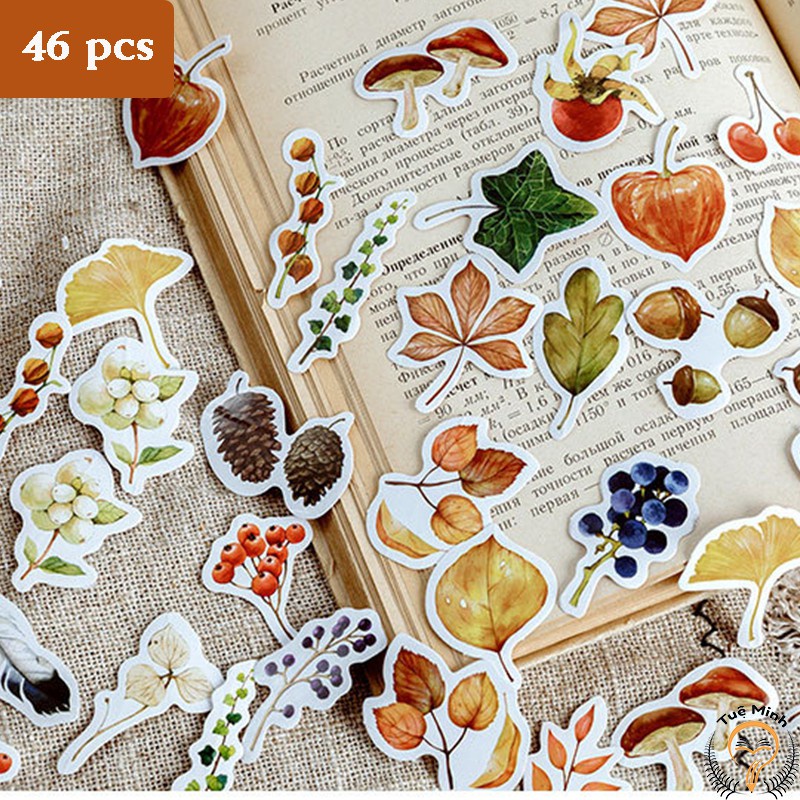 Hộp sticker lá vàng hoạ tiết siêu dễ thương Nhãn dán trang trí sổ tay bullet STI49