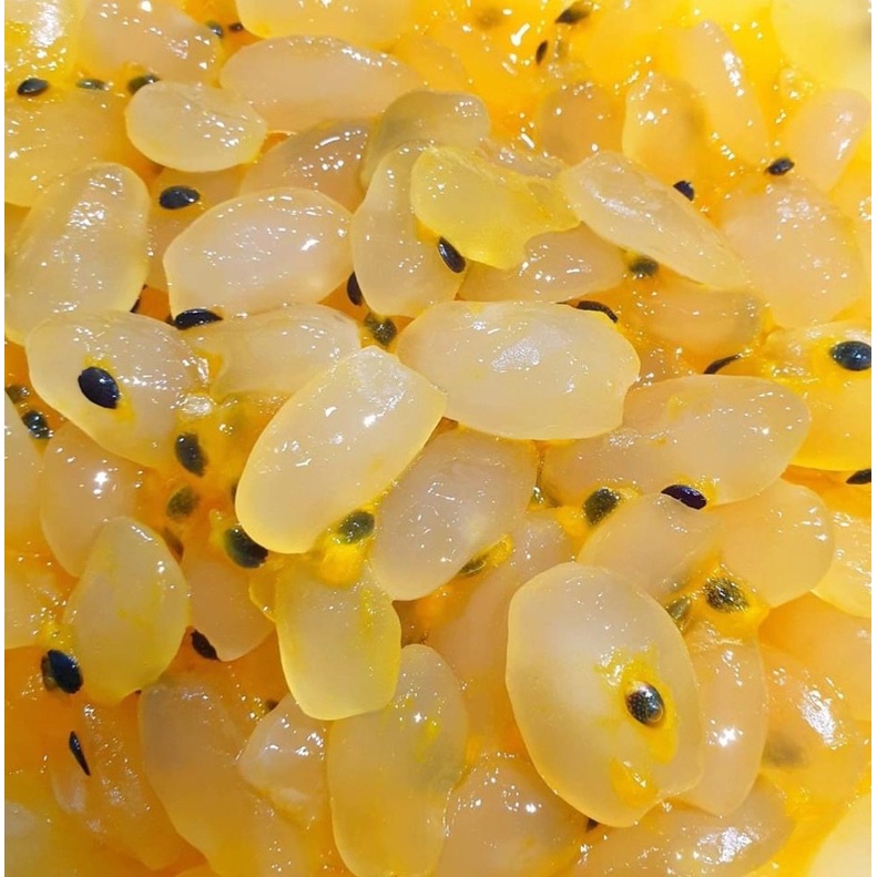 HẠT ĐÁC TƯƠI DẺO PHÚ YÊN 1ký Ship  toàn quốc