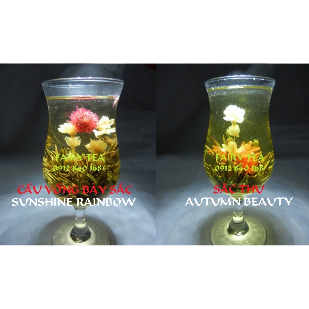 HỘP TRÀ NỞ HOA NGHỆ THUẬT FAIRY TEA  BEAUTIFUL BLOOMING  FLOWER TEA 16 TEA BALLS