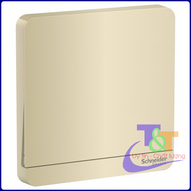Bộ công tắc 1, 2, 3,4 . 2 chiều 16A có đèn LED AvatarOn Schneider