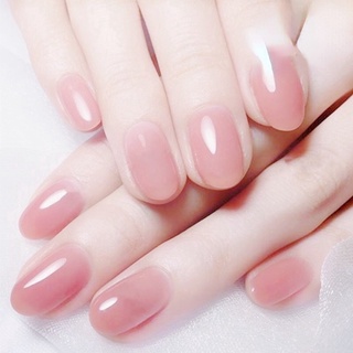 Set of 24 Pretty Candy Colors False Nails