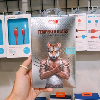 Dán cường lực Full cho IPhone X thương hiệu XO