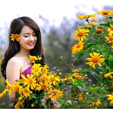 HẠT GIỐNG HOA DÃ QUỲ 2 MÀU MIX ĐỎ VÀ VÀNG TƯƠI - 50 Hạt