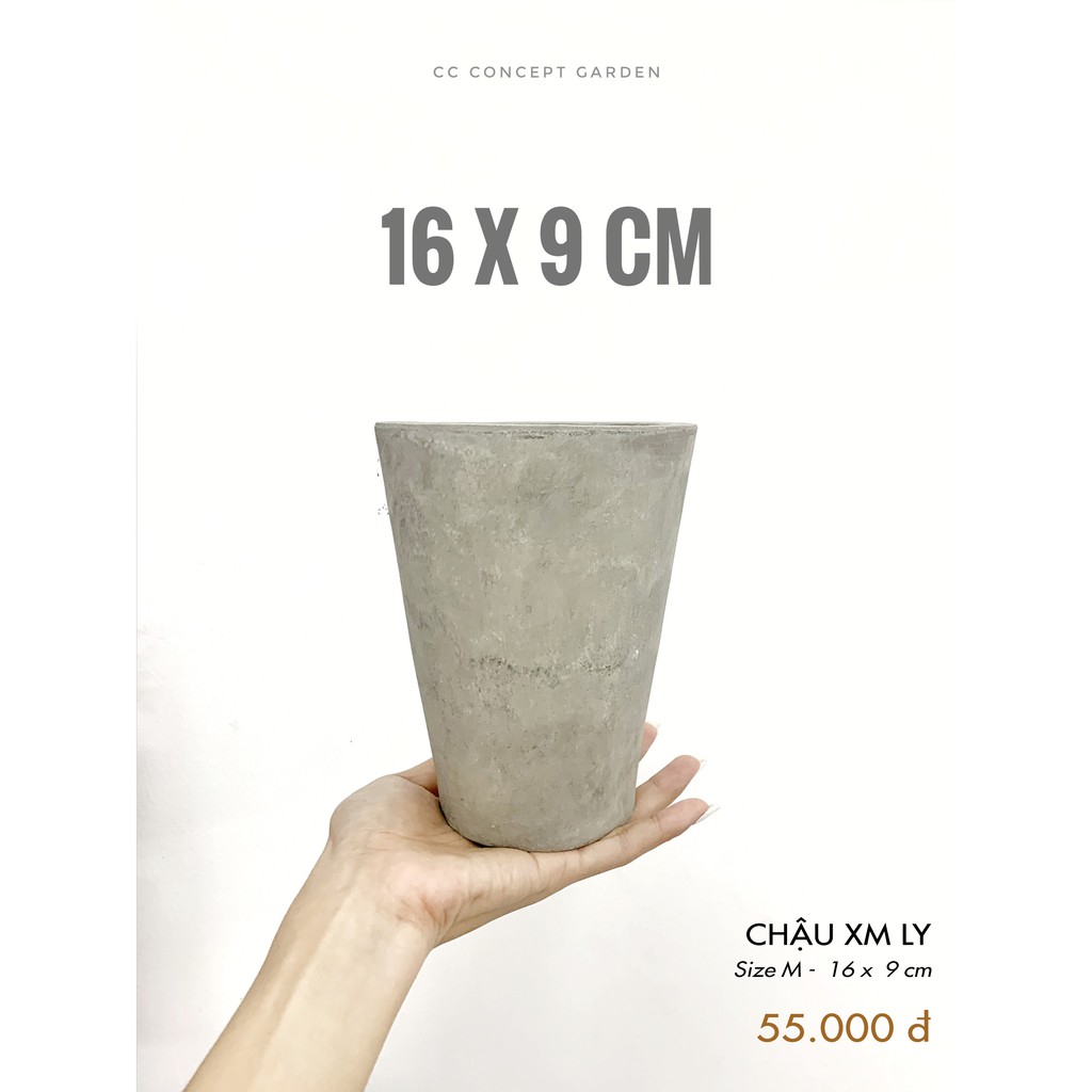 Chậu Xi Măng Ly 16x9cm