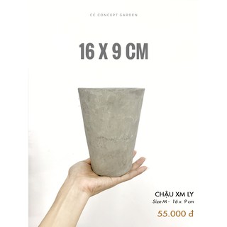 Chậu Xi Măng Ly 16x9cm