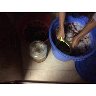 300g bồ hòn tách hạt
