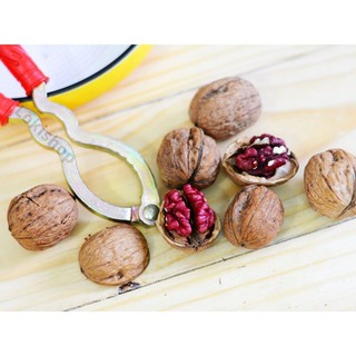 500g NHÂN ÓC CHÓ ĐỎ - HÀNG NHẬP KHẨU