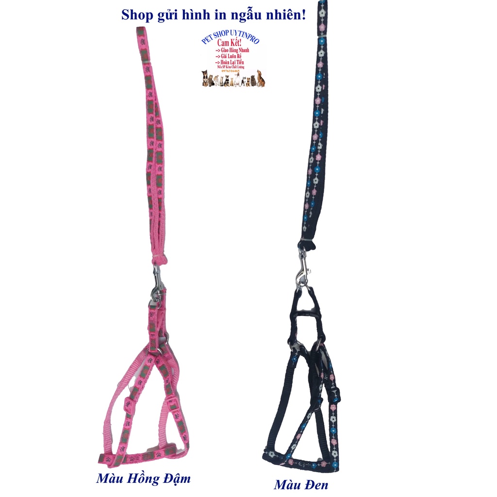 Dây dắt kèm yếm cho Chó Mèo Dưới 5kg Bản rộng 1cm Dài 120cm Zichen In hình bất kỳ Chất liệu dù cao cấp Bền Chắc, An toàn