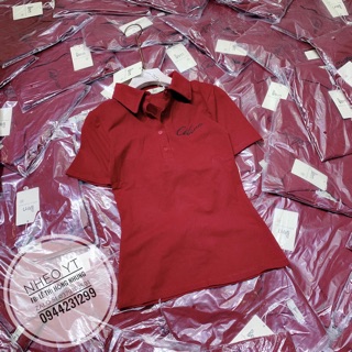 Áo thun cổ bẻ