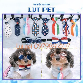 Cà vạt - nơ - phụ kiện quần áo thời trang chó mèo
