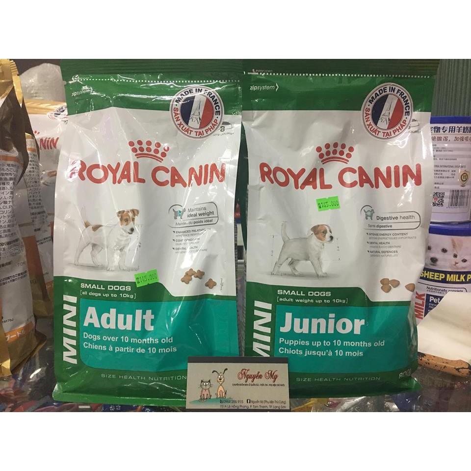 Royal Canin Mini Junior/Adult 800g