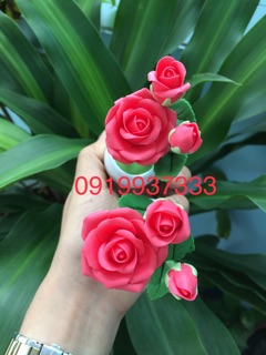 Chậu hoa đất sét cao 13 cm nhiều mẫu( 1 cặp 2 chậu )