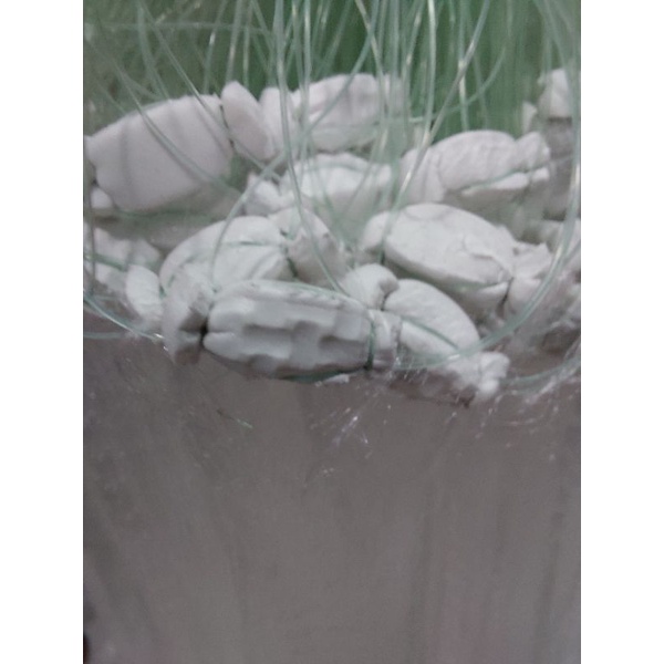 Lưới 1 màn giăng bắt Cá Rô, Cá Sặc, Cá Lòng Tong