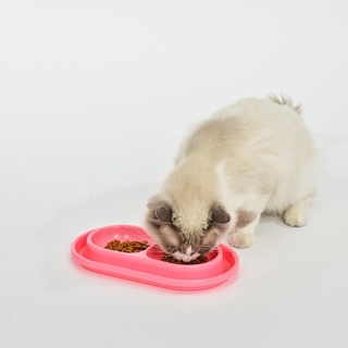 Bát thức ăn đôi chống kiến cho chó mèo tiện lợi, có rãnh đổ nước chống kiến Donald Pet Shop