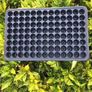Vĩ ươm hạt giống 104 lỗ