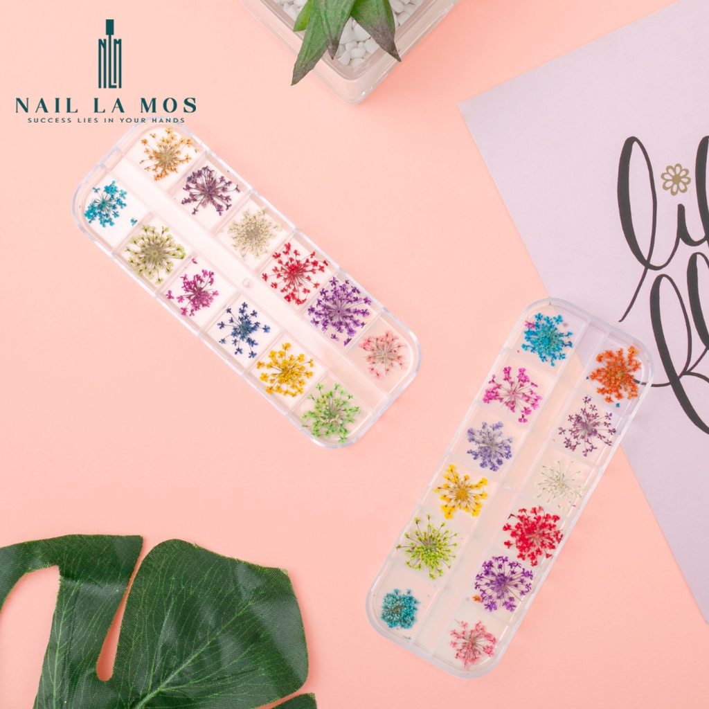 Hoa khô trang trí móng tay - Set 12 màu hoa chùm đắp gel ẩn phong cách Hàn Nhật