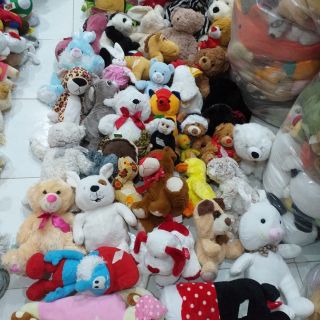 Gấu bông th hoăng