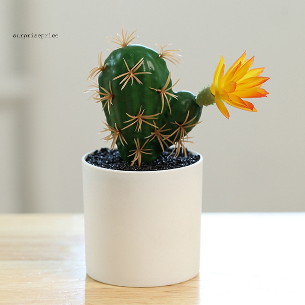 Chậu cây bonsai mini bằng nhựa không phai màu trang trí bàn