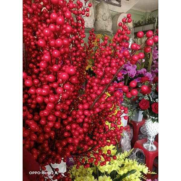 Chùm đào đông trang trí cháp