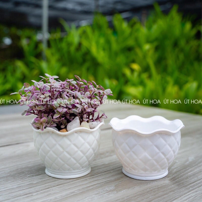 Chậu nhựa xoắn cánh sen, xoắn bông mai trồng cây, trang trí cực đẹp và hàng sẵn kho