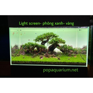 Phông nền Led light SAM Screen  dành cho bể cá cảnh