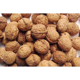 500g ÓC CHÓ NẾP