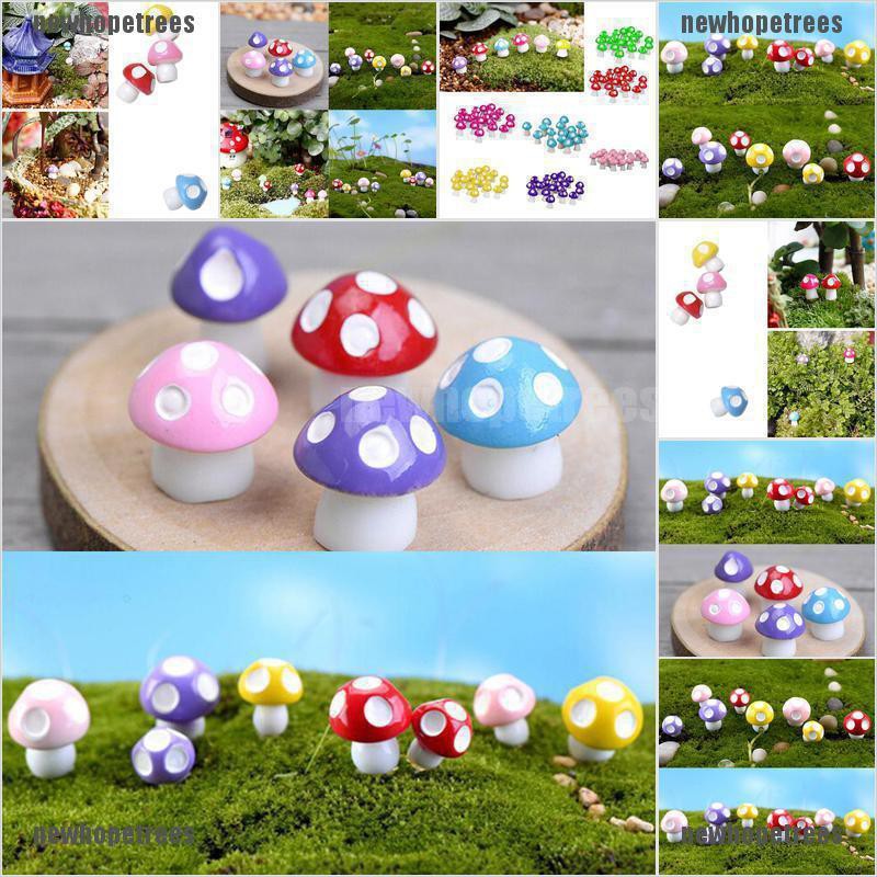 Set 10/ 20 mô hình cây nấm nhiều màu trang trí nhà búp bê