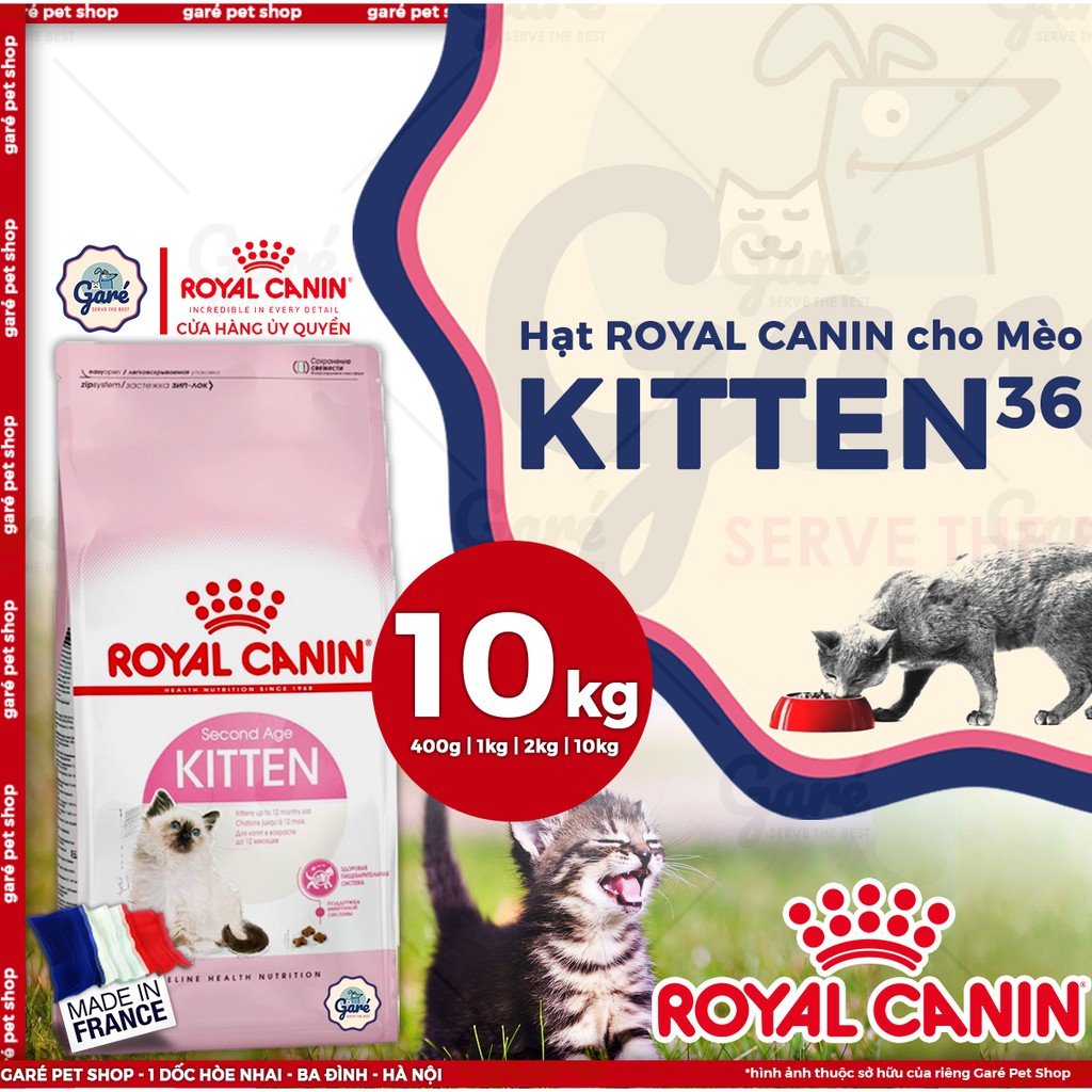 [Mã 99FMCGSALE giảm 8% đơn 500K] 10kg - Hạt Kitten 36 Royal Canin dành cho mèo con từ 4 - 12 tháng tuổi