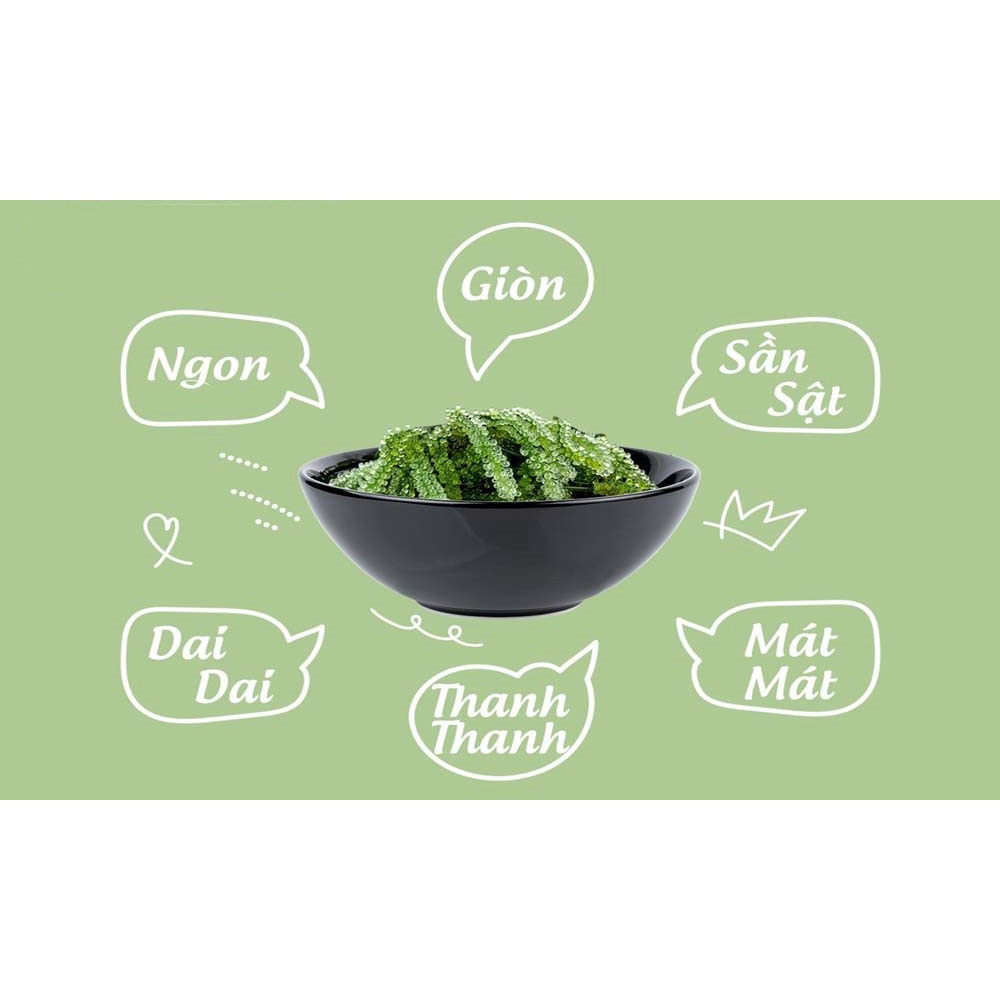 Rong Nho Cách Nhiệt - Vương Quốc Tỏi - Túi 100g nở ra 300g, Thực phẩm cho sức khoẻ | BigBuy360 - bigbuy360.vn