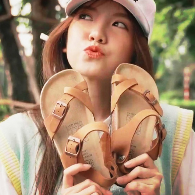 birken-hanoi