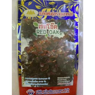 HẠT GIỐNG XÀ LÁCH RED OAK THÁI LAN