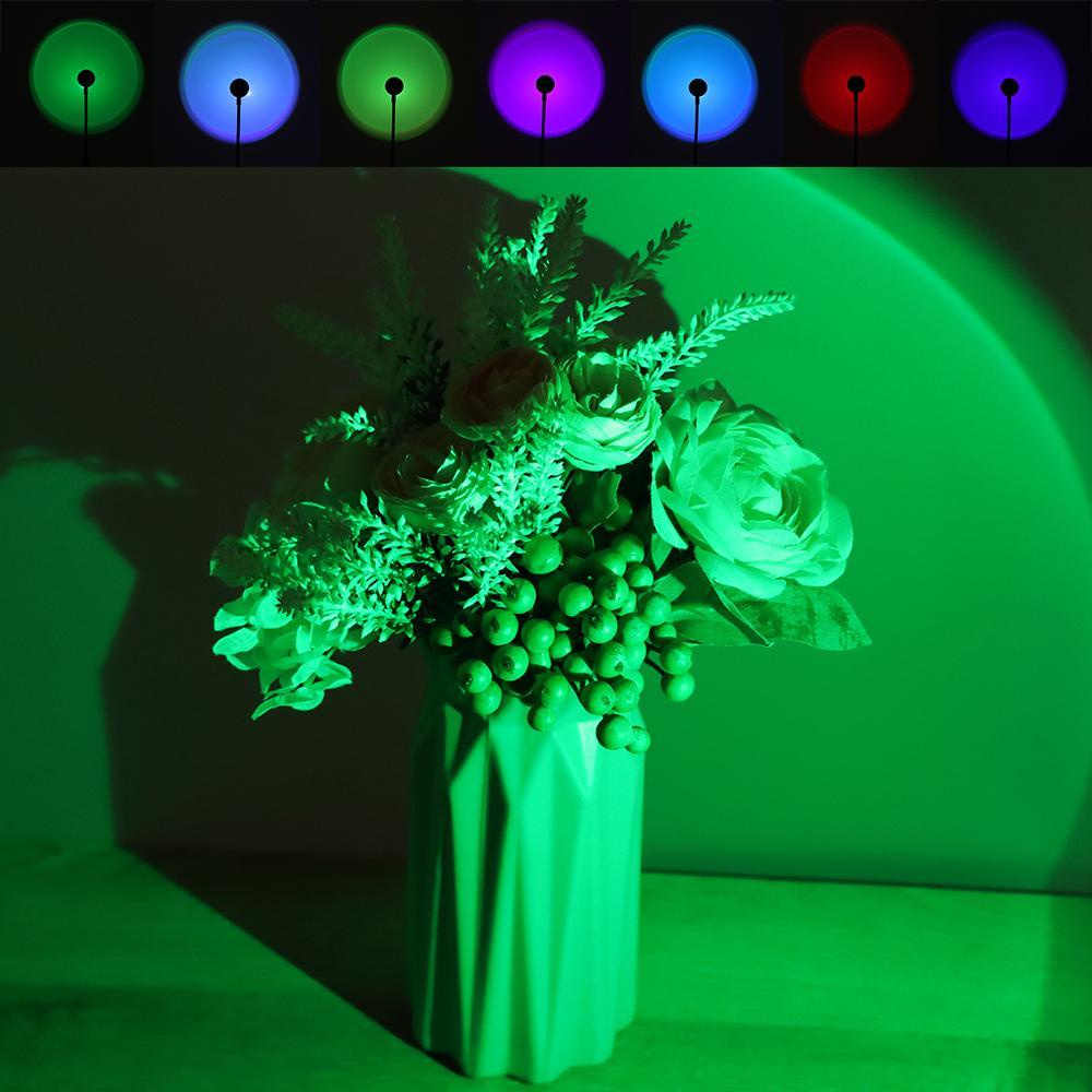 Đèn Zaijie 24 Ánh Sáng Cầu Vồng 7 Màu Dùng Trang Trí Nhà Cửa