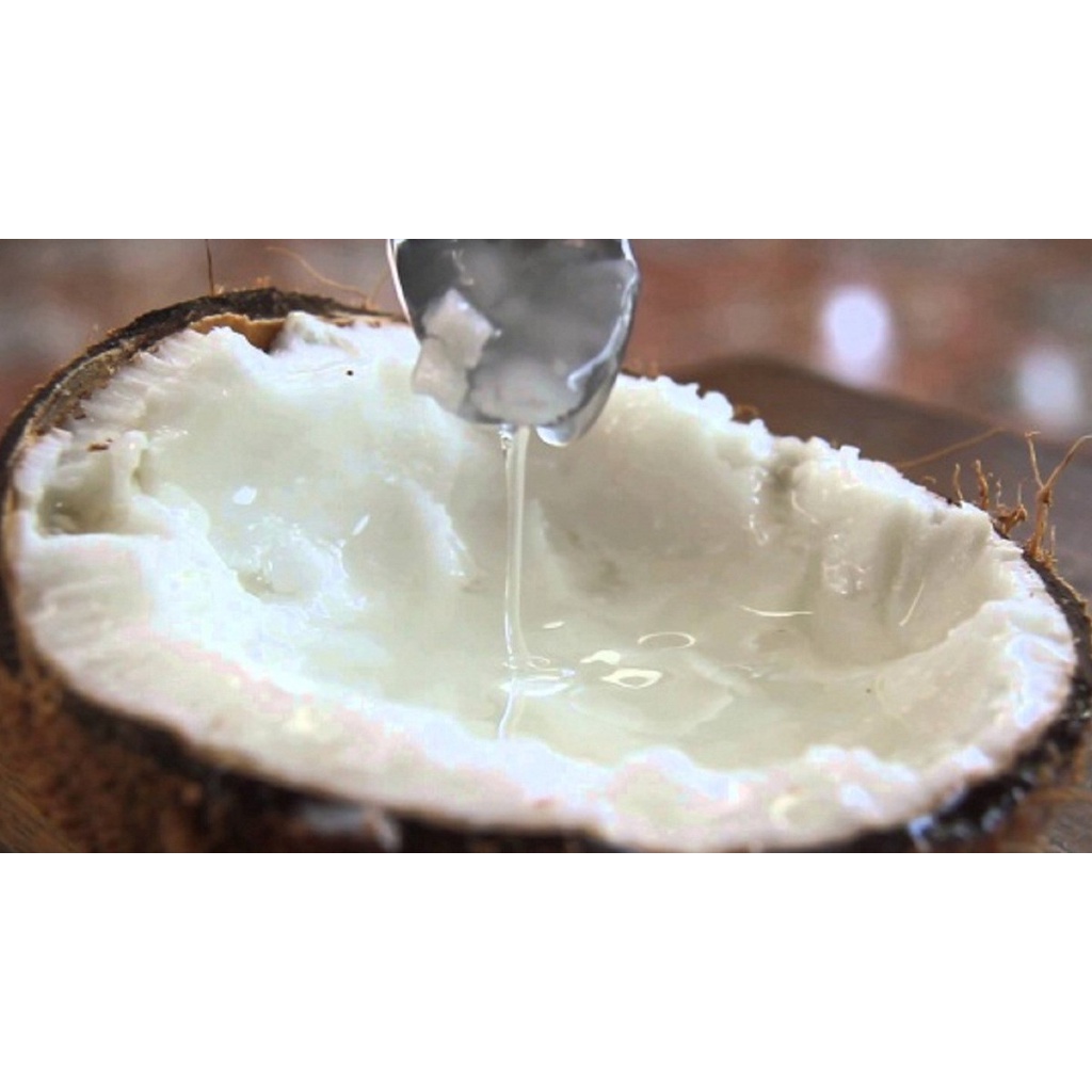 Dừa Sáp Trà Vinh 1kg - 1.2kg  Dầm Sữa Béo Béo Thơm Ngon Hết Hồn, Đóng Gói Sang Trọng