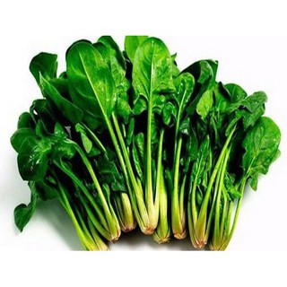 Hạt Giống Rau Chân Vịt / Cải Bó Xôi ( 20g)