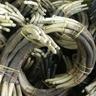 CẦU CHỮA ĐAU CHÂN CHO CHIM. ( Cầu gốc )