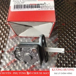 Bơm xăng tự động xe Novo 2 + Novo LX + EX 135 zin hãng YAMAHA (-10%)